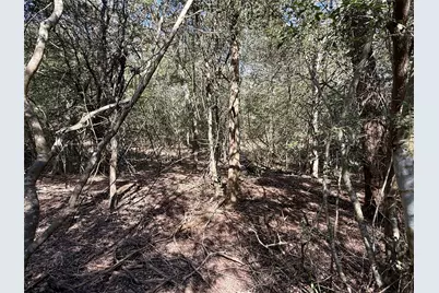Tbd Lots 1232 & 1233 Hanauma Drive, Bastrop, TX 78602 - Photo 13