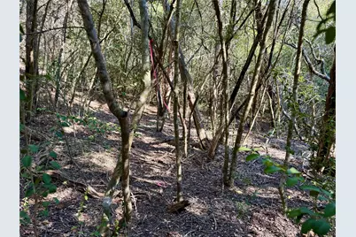 Tbd Lots 1232 & 1233 Hanauma Drive, Bastrop, TX 78602 - Photo 17