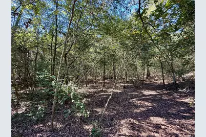 Tbd Lots 1232 & 1233 Hanauma Drive, Bastrop, TX 78602 - Photo 19