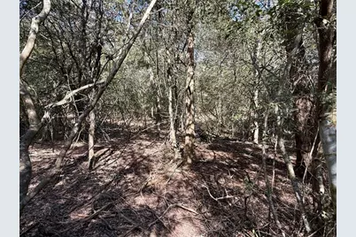 Tbd Lots 1232 & 1233 Hanauma Drive, Bastrop, TX 78602 - Photo 13