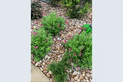 516 Hot Spring Valley, Buda, TX 78610 - Photo 37