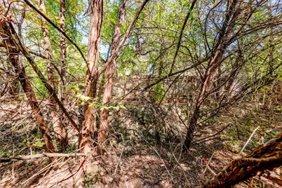 15104 S Flamingo Drive, Austin, TX 78734 - Photo 9