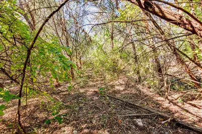 15104 S Flamingo Drive, Austin, TX 78734 - Photo 7