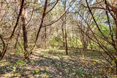 15104 S Flamingo Drive, Austin, TX 78734 - Photo 3