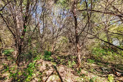 15104 S Flamingo Drive, Austin, TX 78734 - Photo 5