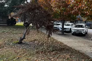 107 Main St, Hutto, TX 78634 - Photo 11