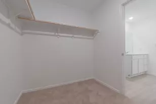 216 Little Sparklers Loop, Hutto, TX 78634 - Photo 37