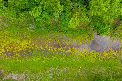 18.45 Acres Fm 1660, Taylor, TX 76574 - Photo 19