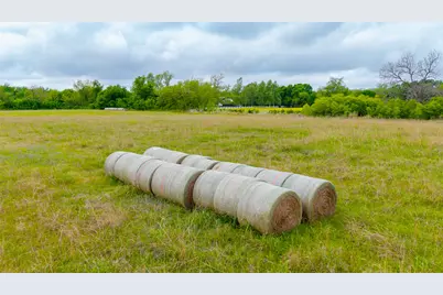 18.45 Acres Fm 1660, Taylor, TX 76574 - Photo 21