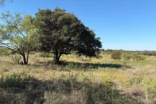2965 Old Marble Falls Rd, Round Mountain, TX 78663 - Photo 1