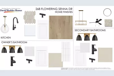 268 Flowering Senna Drive, Buda, TX 78610 - Photo 21