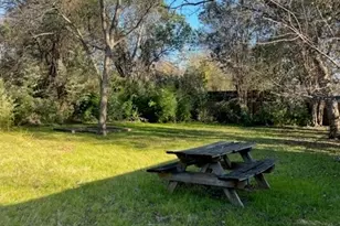 1249 Belvin St, San Marcos, TX 78666 - Photo 3