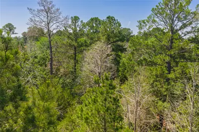 224 Pine Valley Drive, Paige, TX 78659 - Photo 21