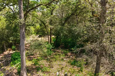 224 Pine Valley Drive, Paige, TX 78659 - Photo 25