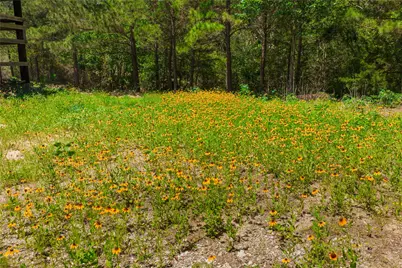 224 Pine Valley Drive, Paige, TX 78659 - Photo 27