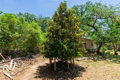 224 Pine Valley Drive, Paige, TX 78659 - Photo 17