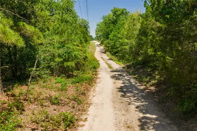 224 Pine Valley Drive, Paige, TX 78659 - Photo 23