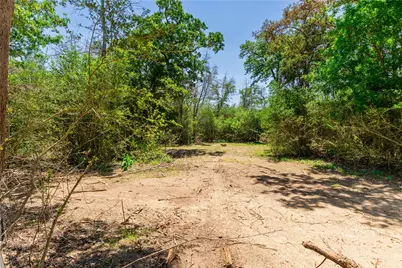 224 Pine Valley Drive, Paige, TX 78659 - Photo 1