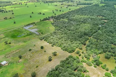 1910 E County Road 415, Lexington, TX 78947 - Photo 7