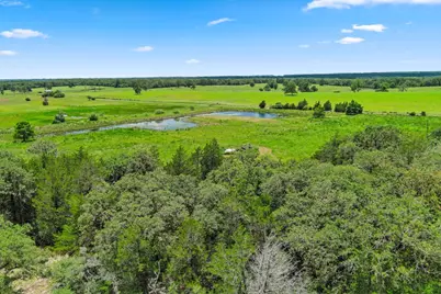 1910 E County Road 415, Lexington, TX 78947 - Photo 9