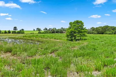 1910 E County Road 415, Lexington, TX 78947 - Photo 11