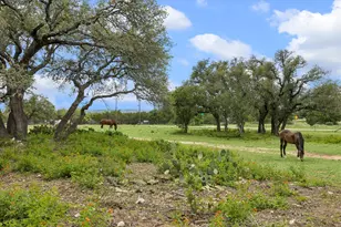 6411 W Fitzhugh Rd, Dripping Springs, TX 78620 - Photo 1