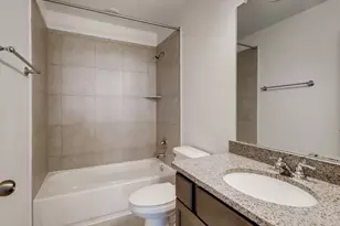 334 Pecos River Xing, Dripping Springs, TX 78620 - Photo 19