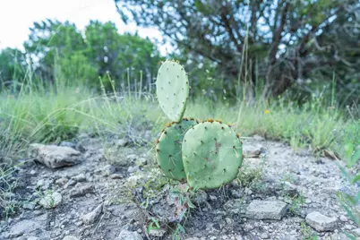 [Address not provided], Blanco, TX 78606 - Photo 9