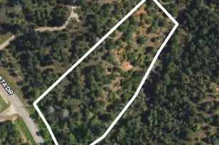 Tbd - Lot 51 Colovista Dr, Bastrop, TX 78602 - Photo 1