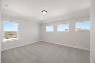 903 Sheepdog Cove, Liberty Hill, TX 78642 - Photo 23