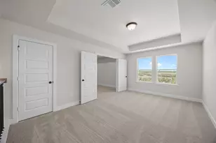 903 Sheepdog Cove, Liberty Hill, TX 78642 - Photo 21