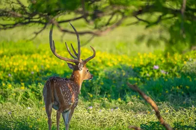 0 County Road 476 Road, Brady, TX 76872 - Photo 11