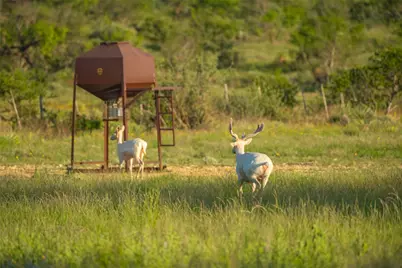 0 County Road 476 Road, Brady, TX 76872 - Photo 39