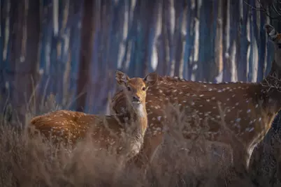 0 County Road 476 Road, Brady, TX 76872 - Photo 37