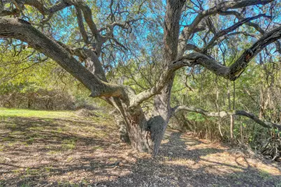 1411 Gracy Farms Lane #41, Austin, TX 78758 - Photo 29