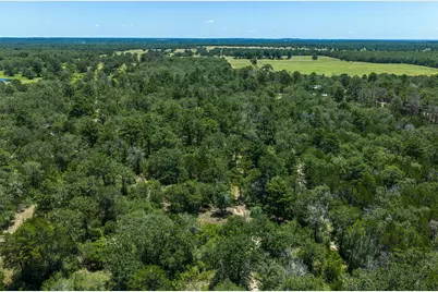 492 S Old Potato Road, Paige, TX 78659 - Photo 13