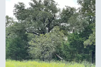 1300 Cypress Trail Loop, Rockdale, TX 76567 - Photo 15