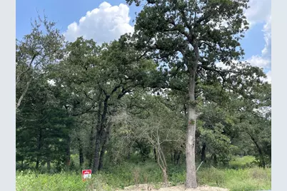 1300 Cypress Trail Loop, Rockdale, TX 76567 - Photo 17