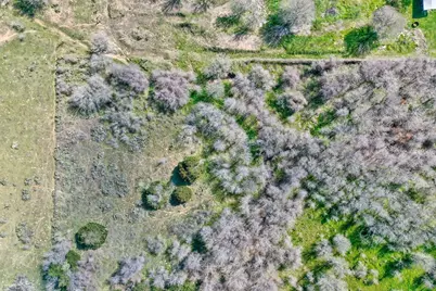 Tbd Shiloh Road, Bastrop, TX 78602 - Photo 21
