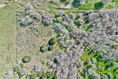 Tbd Shiloh Road, Bastrop, TX 78602 - Photo 23