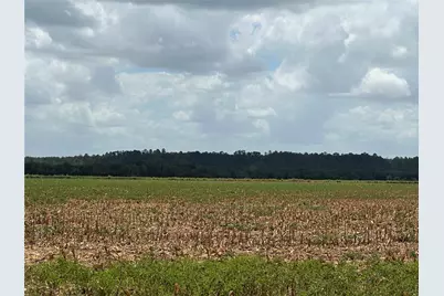 0000 Rabbs Prairie Road, La Grange, TX 78945 - Photo 1