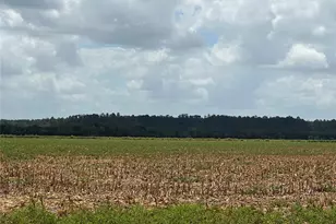 0000 Rabbs Prairie Rd, La Grange, TX 78945 - Photo 1