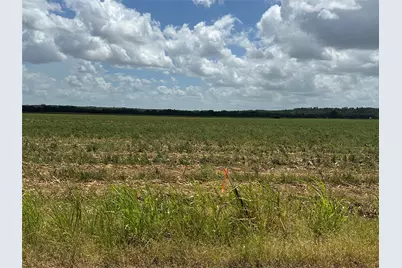 0000 Rabbs Prairie Road, La Grange, TX 78945 - Photo 3