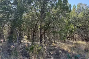 Lot K10037 Drew Drop, Horseshoe Bay, TX 78657 - Photo 7