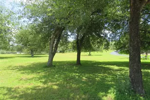 Lot 67 Bridgepoint Dr, Kingsland, TX 78639 - Photo 1