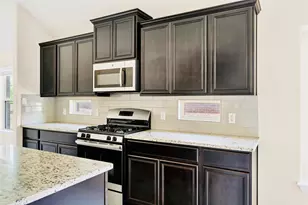 1005 Fountain Grass Way, Georgetown, TX 78626 - Photo 9