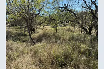 Lot 187 Longmont Street, Kingsland, TX 78639 - Photo 7