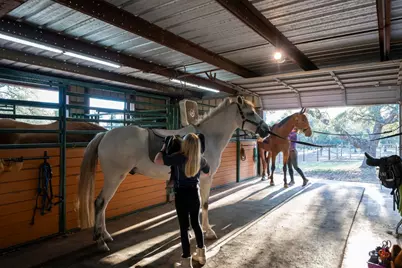 5200 Bell Springs Road, Dripping Springs, TX 78620 - Photo 31