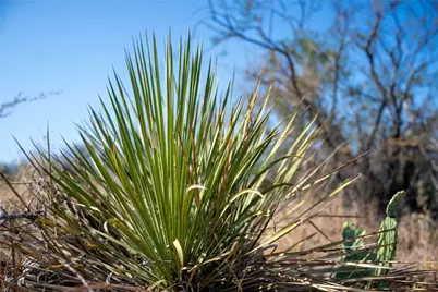 Tbd W Ranch Road 152, Llano, TX 78643 - Photo 15