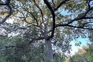 Tbd Whisper Ln, Georgetown, TX 78628 - Photo 19